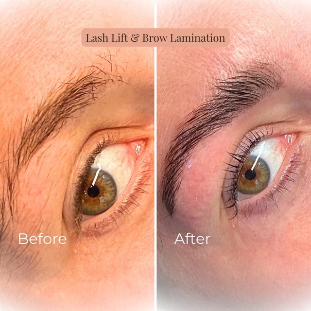 Brow & Lash Bundle Certification