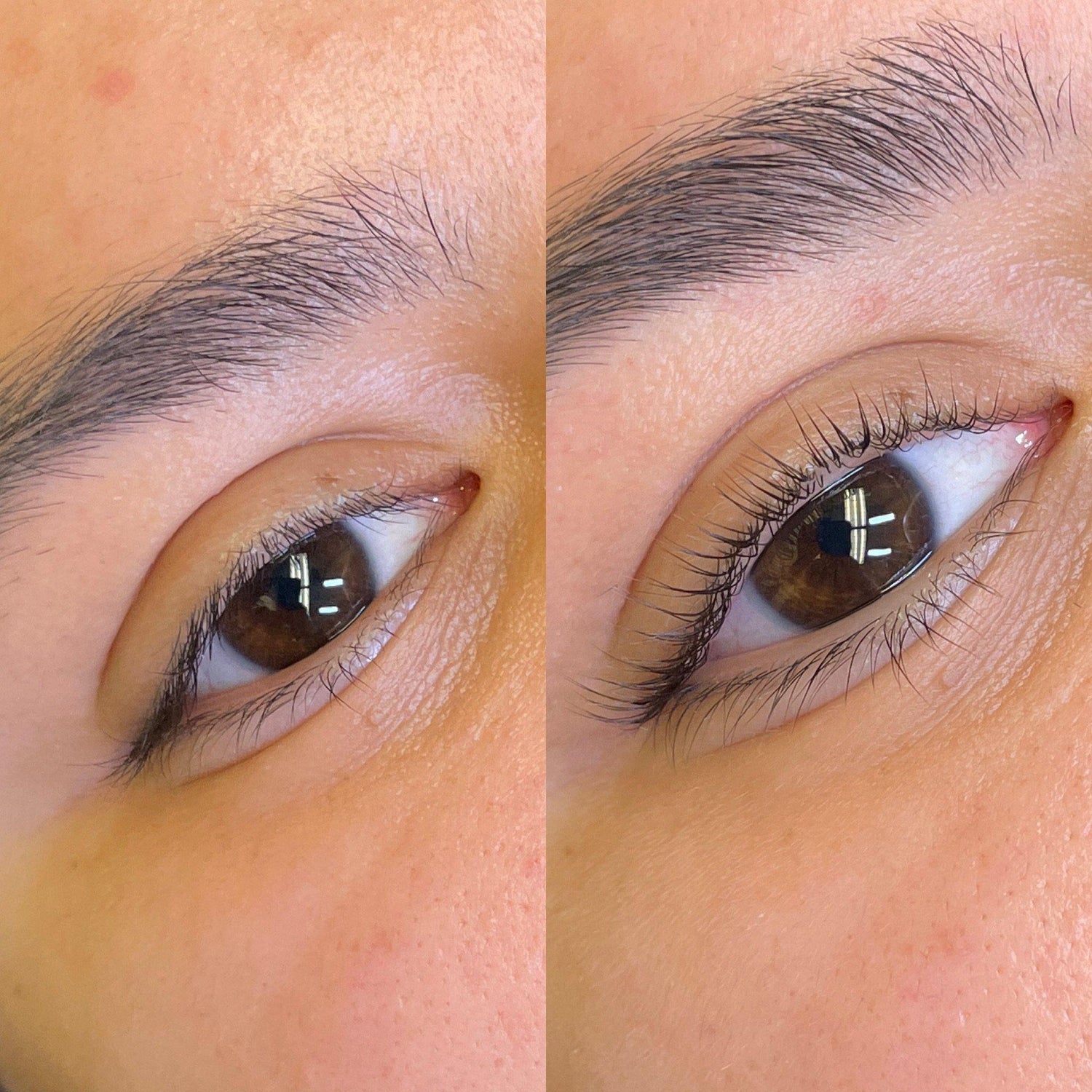 Brow &amp; Lash Bundle Certification