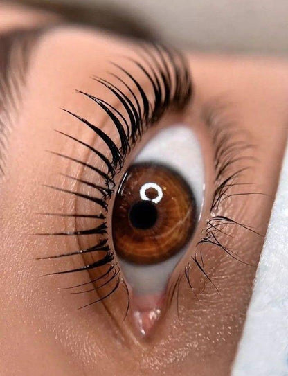 Brow &amp; Lash Bundle Certification