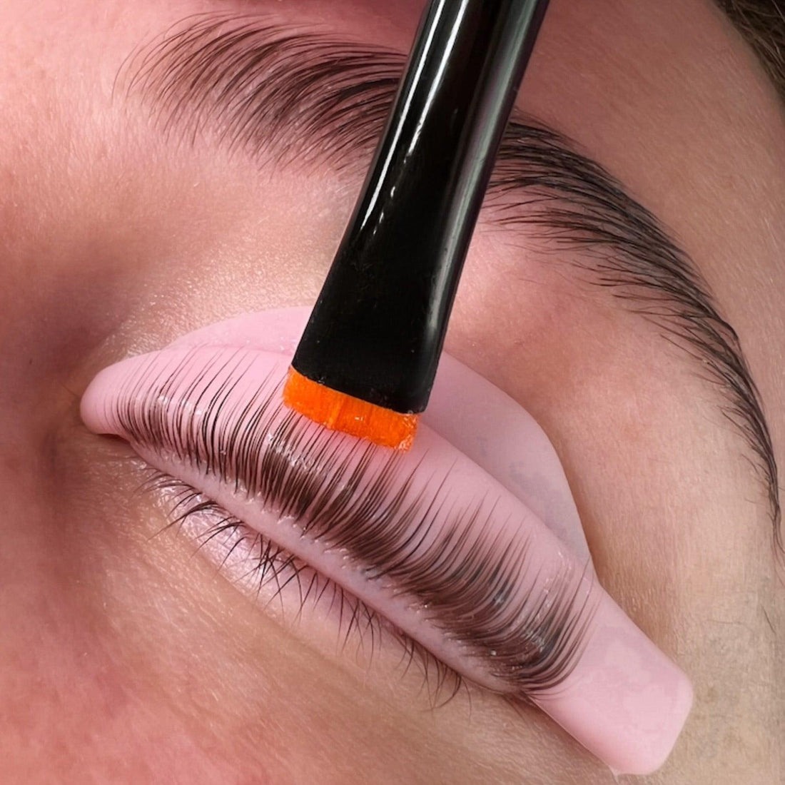 Lash Lift &amp; Tint Certification